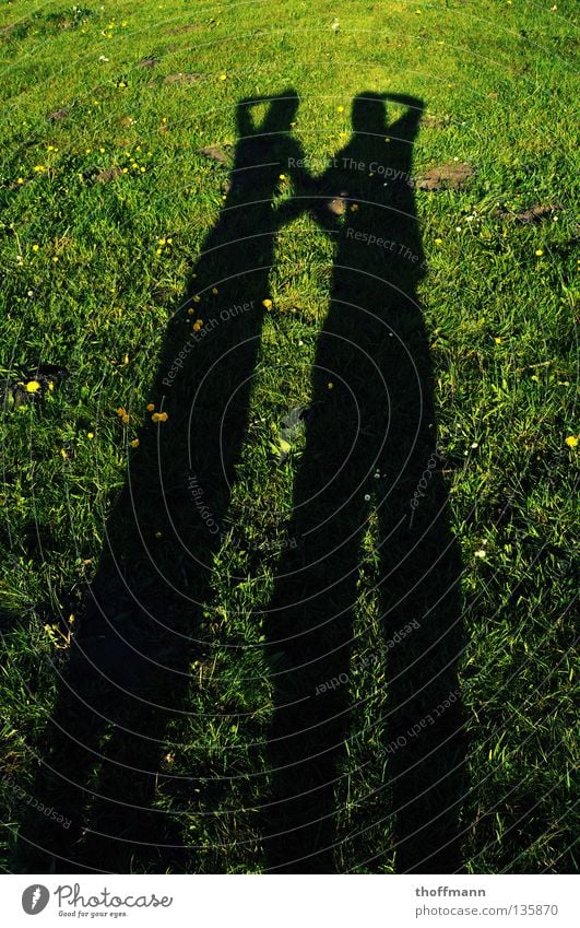 Well, who's taking the picture? :D Sustained Long Wide angle Crossed Meadow Flower Daisy Dandelion Trust Summer Couple Sun Evening Shadow Arm Back Interlock