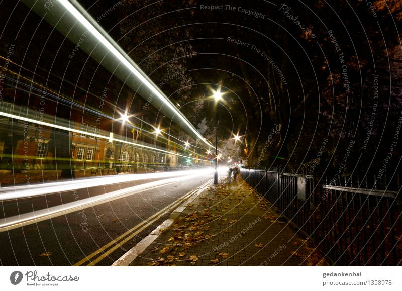 move on High-tech Town Line Speed Multicoloured Transport Long exposure Street foliage Movement light traces Colour photo Exterior shot Night Artificial light