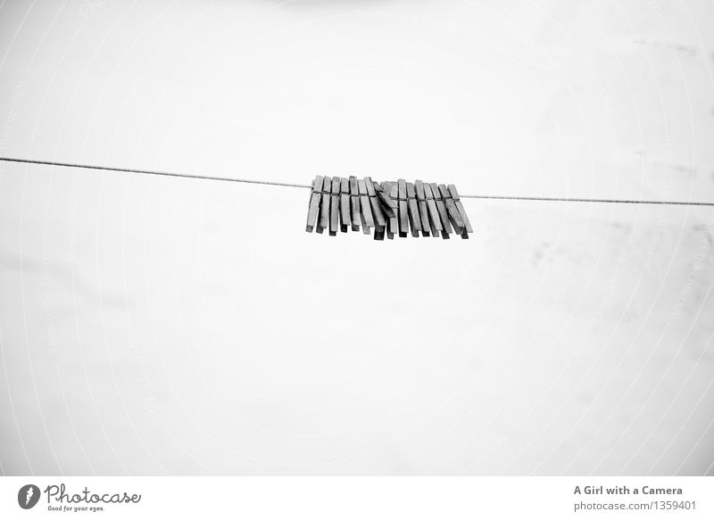 Mondays are off! Clothes peg Hang Attachment Together Laundry Washing day Clothesline Wood Abstract Consecutively Old fashioned Eco-friendly To hold on Idle