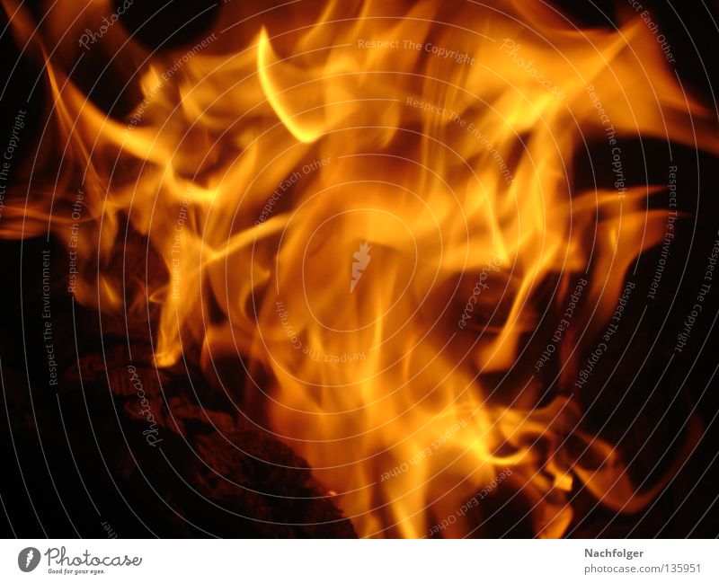 toohottohandle Hot Physics Blaze Burn Fire Warmth