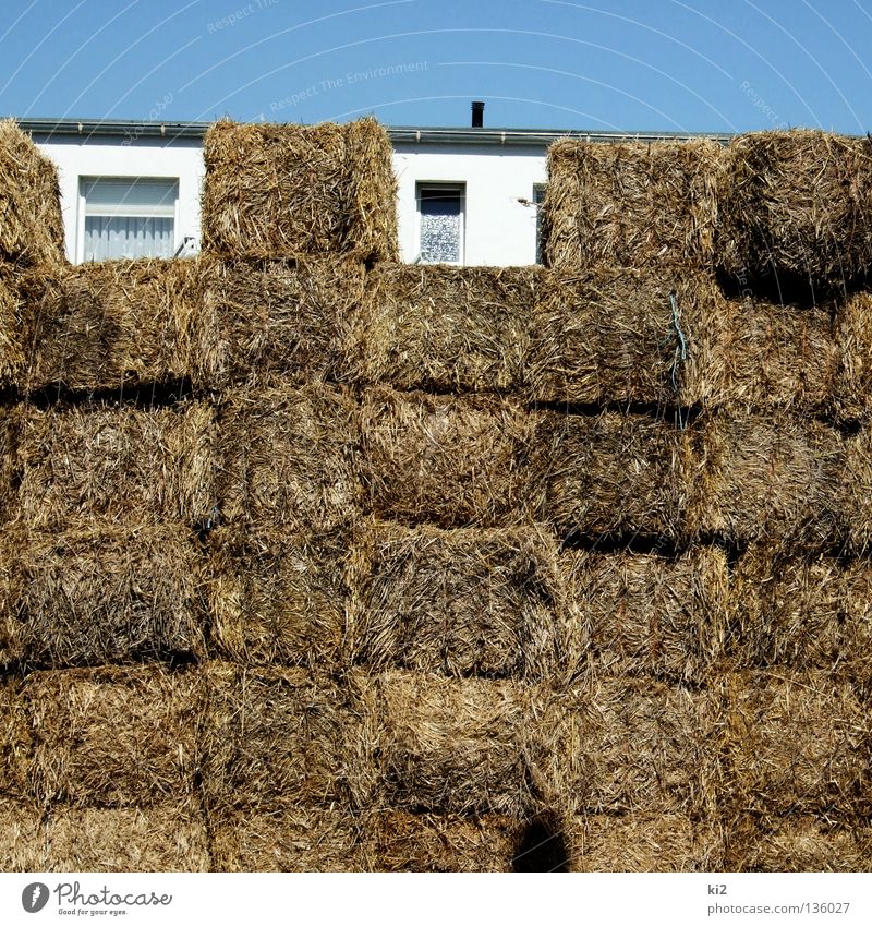 straw hut Straw House (Residential Structure) Blade of grass Safety (feeling of) Barricade Window Empty Summer Hide Gap