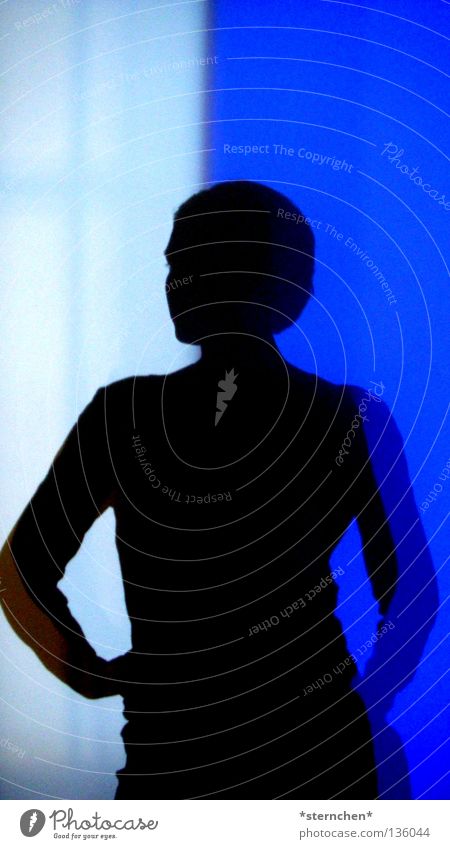 shadow play Shadow play Dark White Black Human being Woman Art Modern art Light Visual spectacle Play of colours Posture Colour Bright Blue Life Silhouette