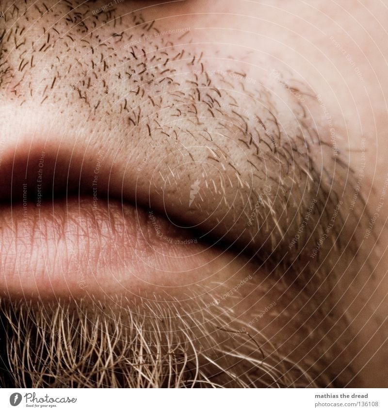 SHAVING NECESSARY Lips Lower lip Upper lip Furrow Pink Red Soft Kissing Slaver Facial hair Long Unshaven Shave Man Masculine Authentic Scratch Rasping