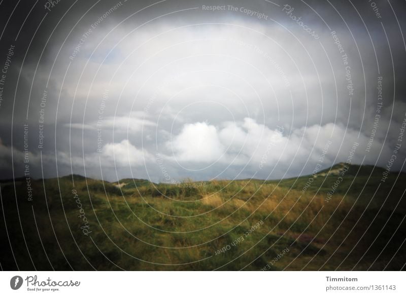 A short-sighted explorer... Vacation & Travel Environment Nature Landscape Sky Clouds Summer Dune Denmark Looking Dark Gray Green Black White Vignetting Holga