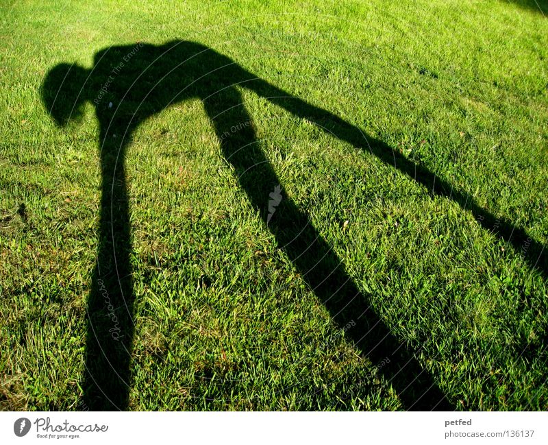 Spiderman's Shadow Meadow Grass Light Green Black Bend Stoop Under Narrow Long Obscure Human being Sun Joy Funny Nature Life fun Legs Arm Above Exterior shot