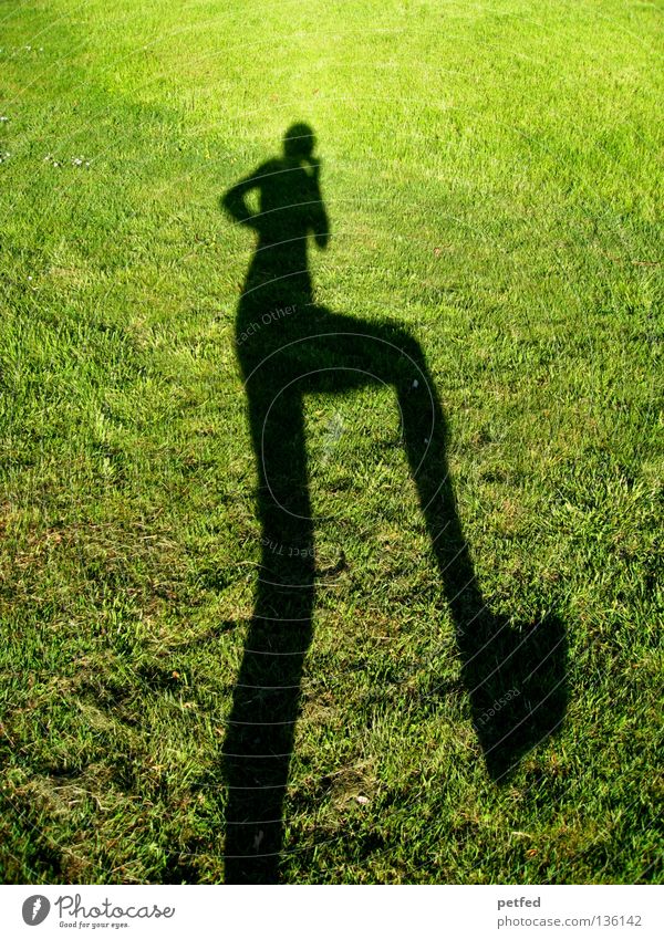 let's dance Meadow Grass Light Green Black Bend Stoop Under Narrow Long Obscure Human being Shadow Sun Joy Funny Nature Life fun Legs Arm Above Exterior shot