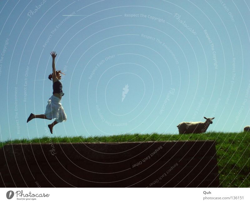 Girls jump differently ... Woman Sheep Dike Grass Hill Meadow Jump Hop Summer Animal Human being Lawn Pasture Lamb Arm Traffic infrastructure Blue Sky Funny Joy