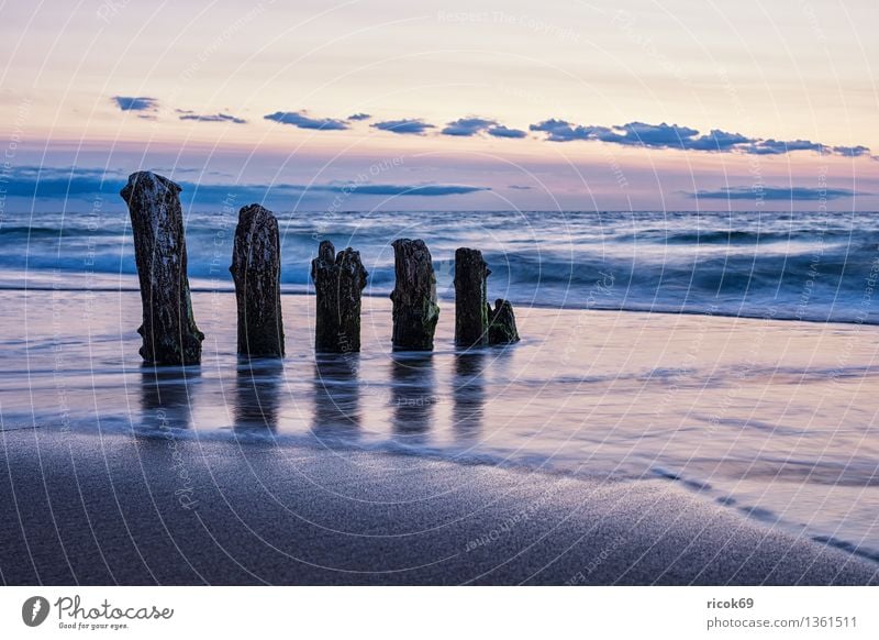 Baltic coast Relaxation Vacation & Travel Sun Beach Ocean Nature Landscape Water Clouds Coast Baltic Sea Old Romance Idyll Calm Tourism Break water Sky Sunset