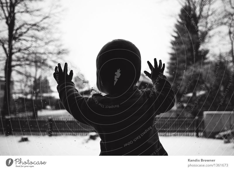 Baby looks out of window pane in winter Lifestyle Contentment Winter Snow Flat (apartment) Masculine Child Toddler Boy (child) Infancy Hand 1 Human being