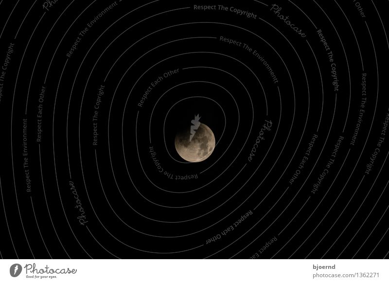 Lunar eclipse over Kiel Sky Sky only Cloudless sky Night sky Moon Full  moon Gray Black White Agreed Concern Longing Fear Subdued colour Exterior shot Deserted