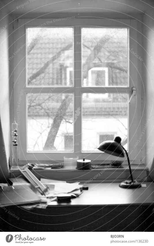 Jan's desk Portrait format Vertical Interior shot Window Table Untidy Tree Wood House (Residential Structure) view outside Desk Piece of paper Tree trunk Frame