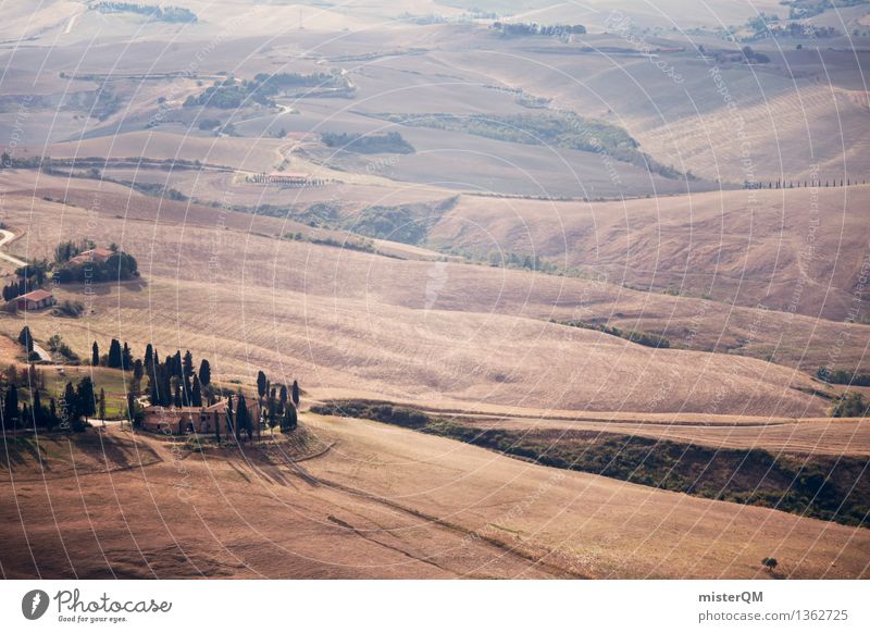 Tuscany-wide. Environment Nature Landscape Plant Esthetic Italy Hill Far-off places Mediterranean South Vacation photo Colour photo Subdued colour Exterior shot