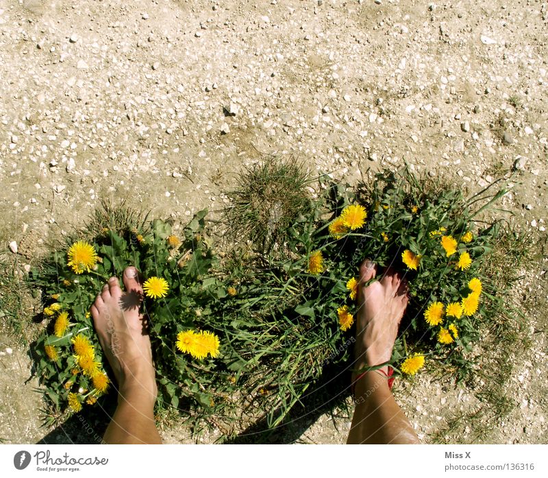 Eco slippers Colour photo Exterior shot Island Legs Feet Earth Drought Flower Grass Footwear Stone Dirty Dry Brown Yellow Gray Green Earthy Gravel Pebble Dust