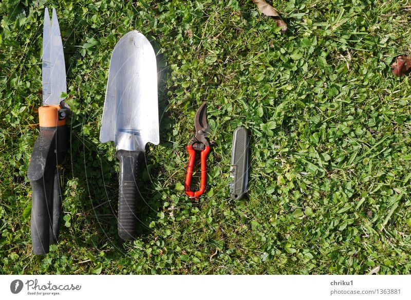 Cleaned up 1 Tool Scissors Nature Grass Garden Utilize Green Orange Red Black Silver Diligent Disciplined Orderliness Super Still Life "Gardening autumn work