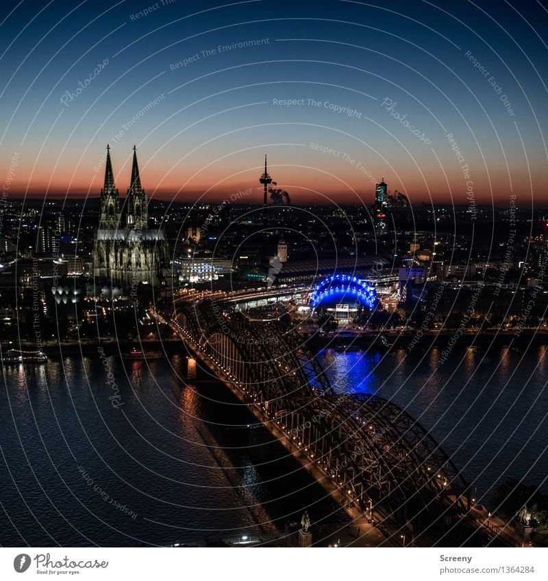 Lights on, Kölle... Landscape Sky Cloudless sky Horizon Beautiful weather River Rhine Cologne Germany Europe Town Downtown Skyline House (Residential Structure)