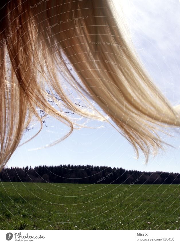 Rapunzel Blonde Green Grass Clouds Woman Hair and hairstyles Wind Sunlight Summer Long-haired Edge of the forest Blue Sky Flying Landscape Americas Free