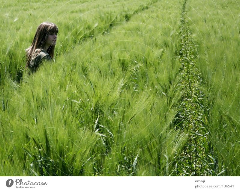 Small Field Cornfield Wheatfield Girl Woman Bad weather Peace Happiness Summer Spring Physics Contentment Free Human being Concentrate Stand Touch Jump Sweet