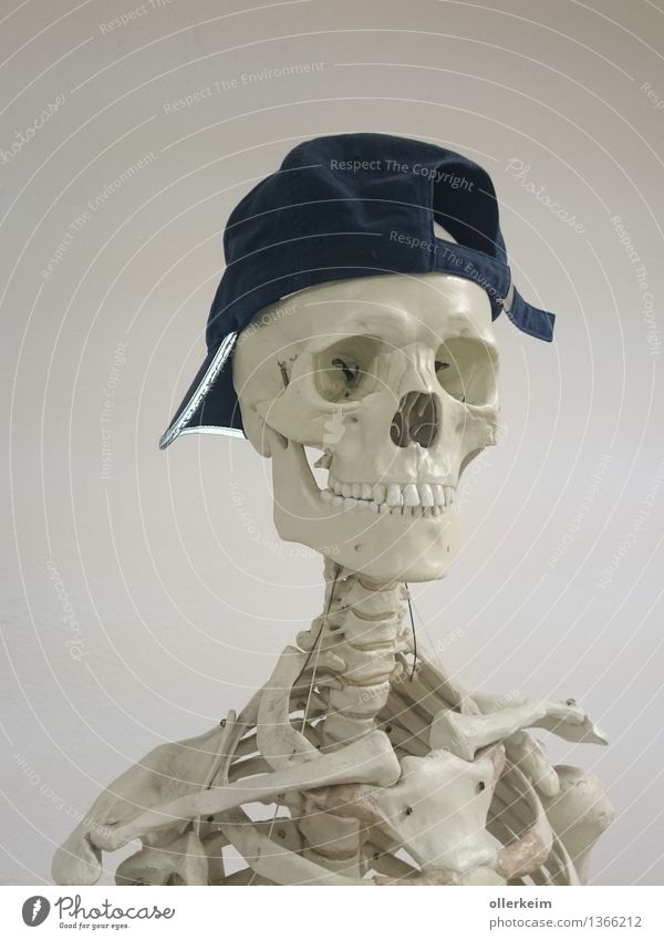 Skeleton - cool type I Body Head Cap Cool (slang) Blue Gray White Hat Serene Colour photo Interior shot Isolated Image Neutral Background Day Artificial light