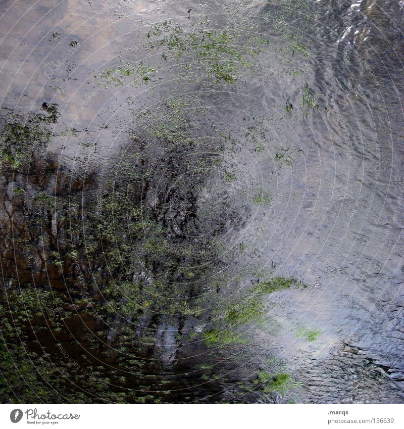 turbulence Wet Algae Flow Fluid Liquid Muddled Weather Storm Dark Gloomy Tree Reflection Painting and drawing (object) Abstract Painted Obscure Water Part