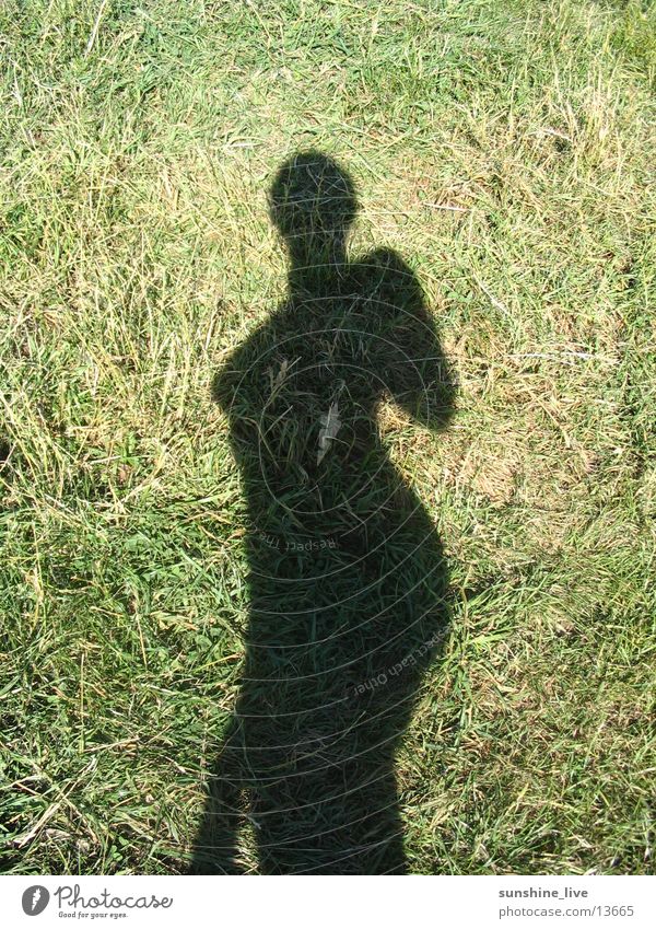 shadow play Meadow Posture Woman Sun Nature Shadow