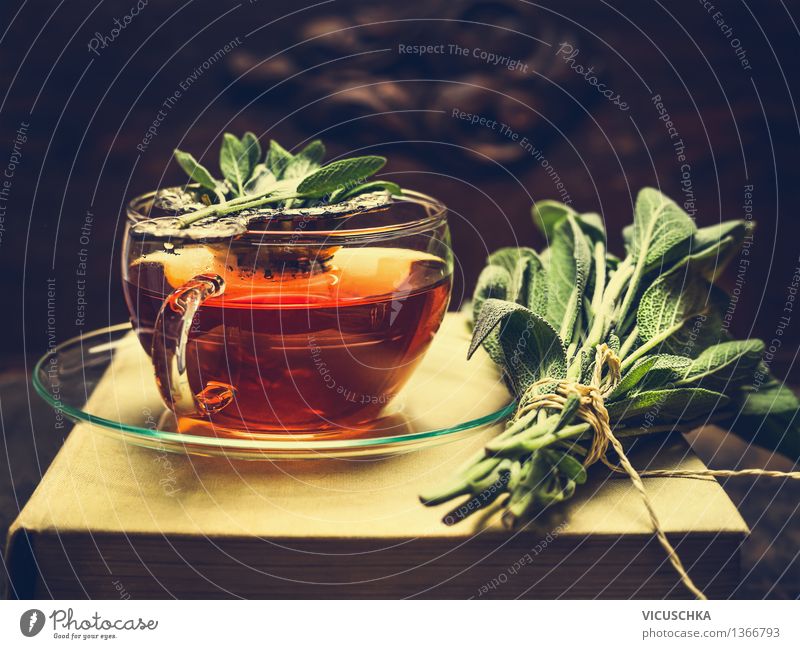 Herbal sage tea in a glass cup Food Herbs and spices Beverage Hot drink Tea Plate Cup Lifestyle Style Design Alternative medicine Healthy Eating Cure Table