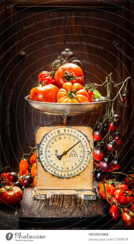 Various colorful tomatoes on vintage scales Food Vegetable Nutrition Organic produce Vegetarian diet Diet Style Design Healthy Eating Life Summer
