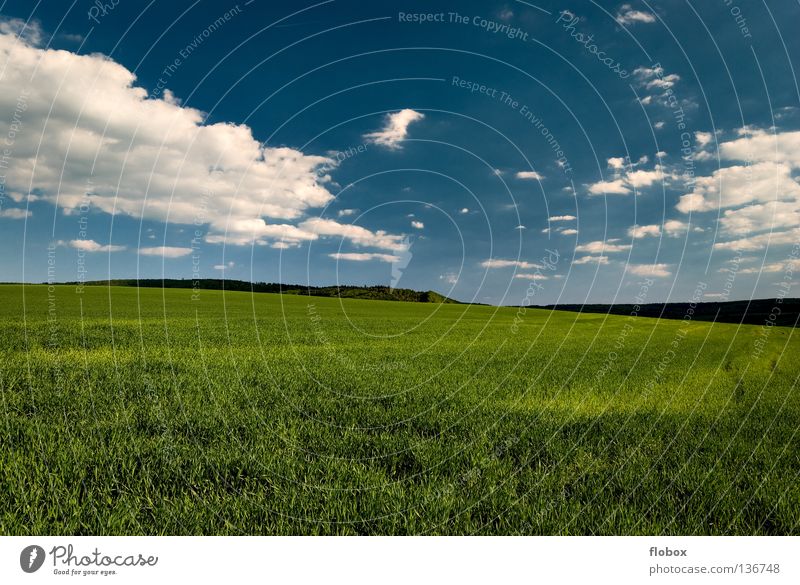 green and blue... Agriculture Field Green Landscape Nature Picturesque Deserted Sky blue Wide angle Central perspective Clouds in the sky Beautiful weather