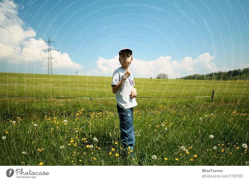 blow Playing Child Masculine Boy (child) Infancy 1 Human being Nature Landscape Sky Clouds Spring Flower Grass Meadow Field T-shirt Jeans Cap Blossoming