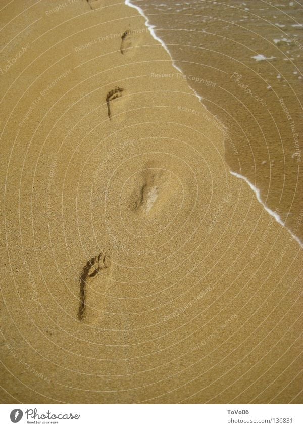 Traces in the sand Footprint Ocean Beach Greece Harmonious Sand Water Barefoot