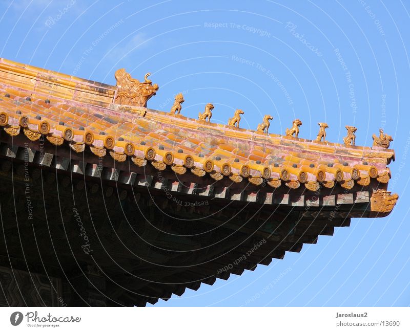 Chinese temple roof China Beijing Forbidden city Architecture Detail