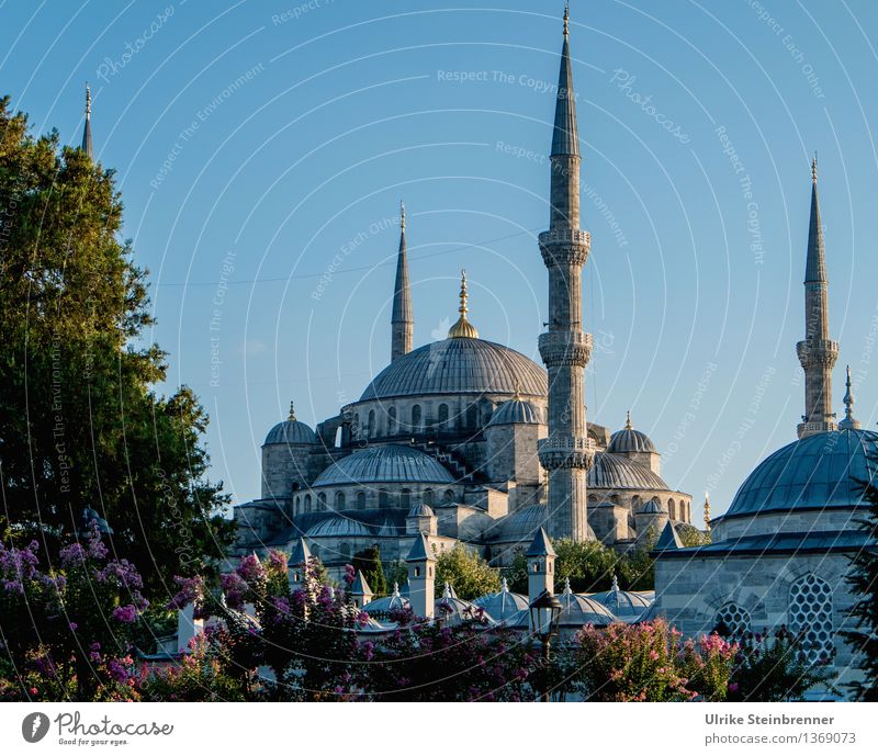 Minarets 3 Vacation & Travel Tourism Sightseeing City trip Istanbul Turkey Manmade structures Building Architecture Mosque Tower Tourist Attraction Stone Sign