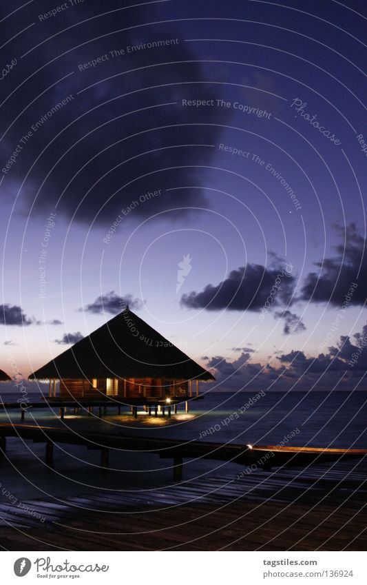 GOOD NIGHT - MALDIVIAN WAY Good Night Sleep Twilight Sunset Dark Maldives Vacation & Travel Ocean Leisure and hobbies Footbridge Light Long exposure Violet