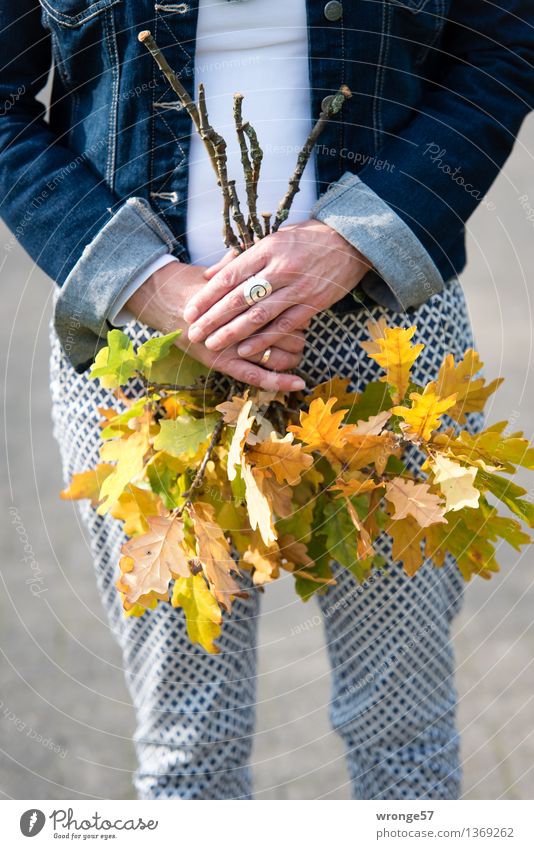 Leaf collection II Human being Feminine Woman Adults Female senior 1 45 - 60 years Autumn Blue Yellow Green White Twigs and branches Autumnal colours