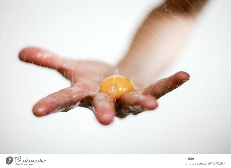 Take an egg Food Yolk Egg Raw Nutrition Ingredients Lifestyle Adults Hand Fingers To hold on Disgust Yellow Orange Smoothness Indicate Colour photo