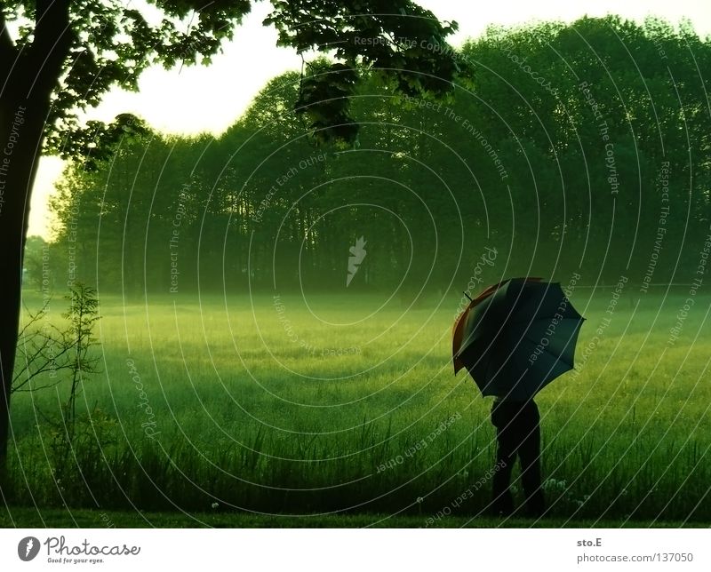 early morning | umbrella pt.3 Fellow Man Masculine Moody Posture Lamp Meadow Field Far-off places Sunrise Morning Tree Treetop Leaf Horizon Silhouette Black