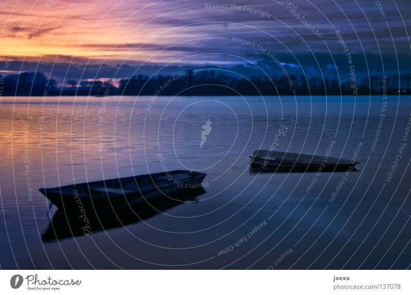 downfall Dusk Remote Fishing (Angle) Lake Baggersee Tree Contemplative Watercraft Loneliness Relaxation Dark Fishing boat Calm Horizon Think Rowboat