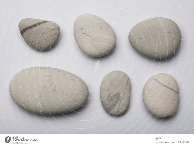 New Zealand white - Super Stilllife Vacation & Travel Tourism Trip Nature Stone Natural Round Gray Uniqueness Discover Leisure and hobbies Arrangement Pure Calm