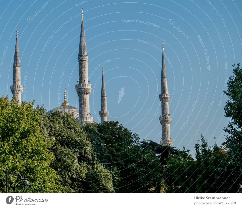 Minarets 1 Vacation & Travel Tourism Sightseeing City trip Istanbul Turkey Downtown Manmade structures Building Architecture Mosque Tower Tourist Attraction