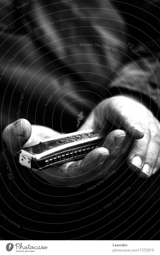 Harmonica in hand II Music To hold on Listen to music Moody Caution Interest Lovesickness Success Idea Identity Uniqueness Innovative Inspiration Shame