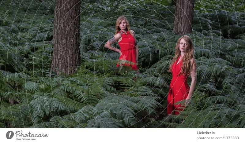 Two girls in the forest Human being Feminine Young woman Youth (Young adults) Body 2 18 - 30 years Adults Nature Summer Tree Fern Forest Fashion Dress Cloth