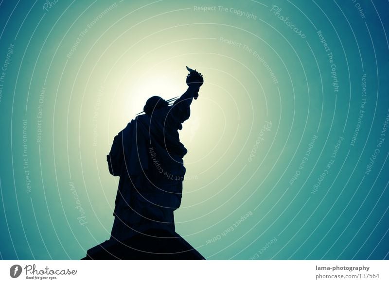 Heavenly Freedom New York City Manhattan Americas Symbols and metaphors Landmark Back-light Art Sightseeing Statue Sun Silhouette Graphic Monument Sky USA