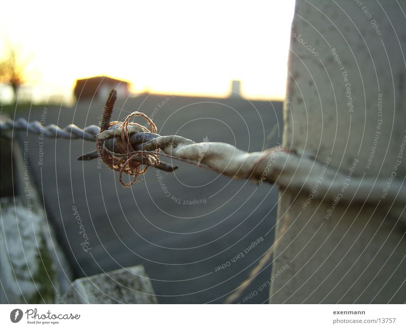 barbed wire Barbed wire Fence Things Sewing thread Close-up