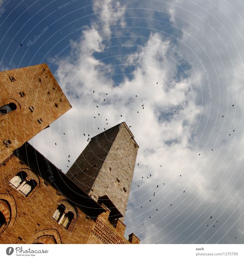 The Swarm San Gimignano Italy Tuscany Small Town Downtown Old town House (Residential Structure) High-rise Religion and faith Dome Palace Places Tower