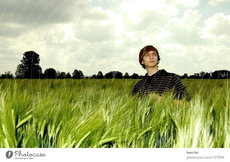 Posing Deluxe Grain Organic produce Beautiful Far-off places Young man Youth (Young adults) Man Adults Landscape Sky Clouds Spring Field Breathe Posture