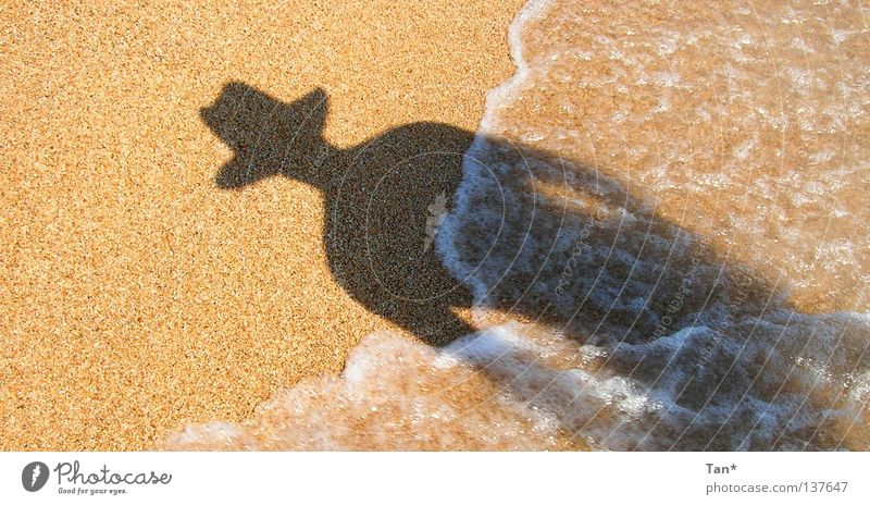 A shadow from the sea Beach Vacation & Travel Hard Fluid Ocean Flood Waves Sunglasses Refrigeration Physics Diagonal Silhouette Black Dark Landscape format Long