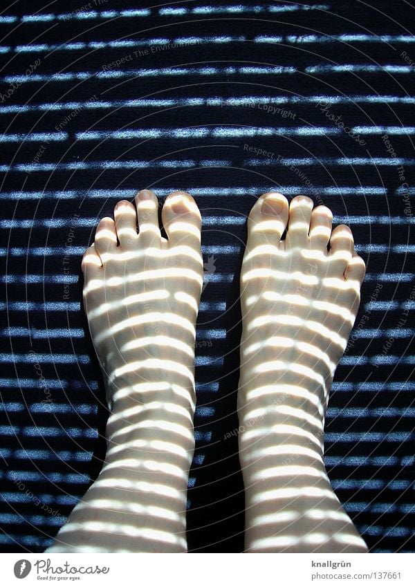 In the morning, before I pull up the blinds... Stand Light Dark Lighting Shaft of light Carpet Fitted carpet Stripe Horizontal Toes Strange Appearance Woman