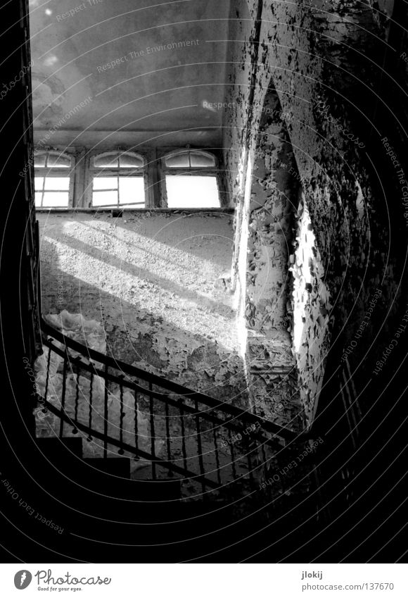 Up to the light Footwear High heels Black Concrete Derelict Plaster Crumbled House (Residential Structure) Hallway Staircase (Hallway) Building Going Decline