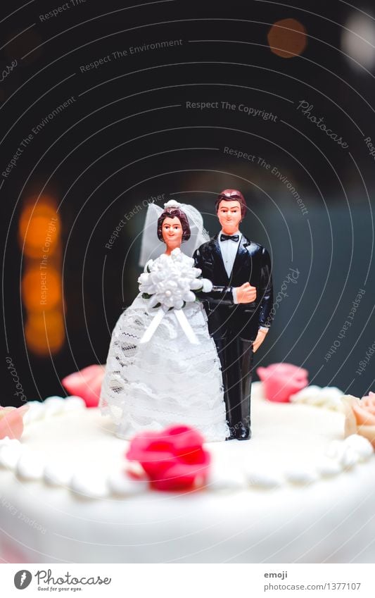 cake Gateau Banquet Couple Partner Adults 2 Human being Small Sweet Wedding couple wedding cake Figure Colour photo Multicoloured Interior shot Close-up Detail