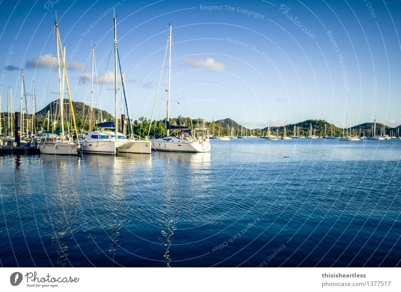 in the safe harbor! Vacation & Travel Tourism Far-off places Summer Summer vacation Sun Aquatics Sailing Environment Landscape Water Sky Hill Coast Bay Fjord