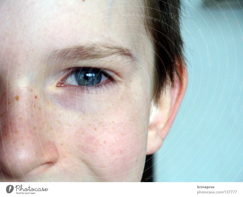 freckle Child Vacation & Travel Happy Summer Blue-green Eyes Tousled Nose Laughter Honey Maternal feelings Boy (child) Beautiful Joy Humble Smooth Interior shot